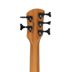 Spector Pulse 5 Bass Guitar - Black Cherry Matte