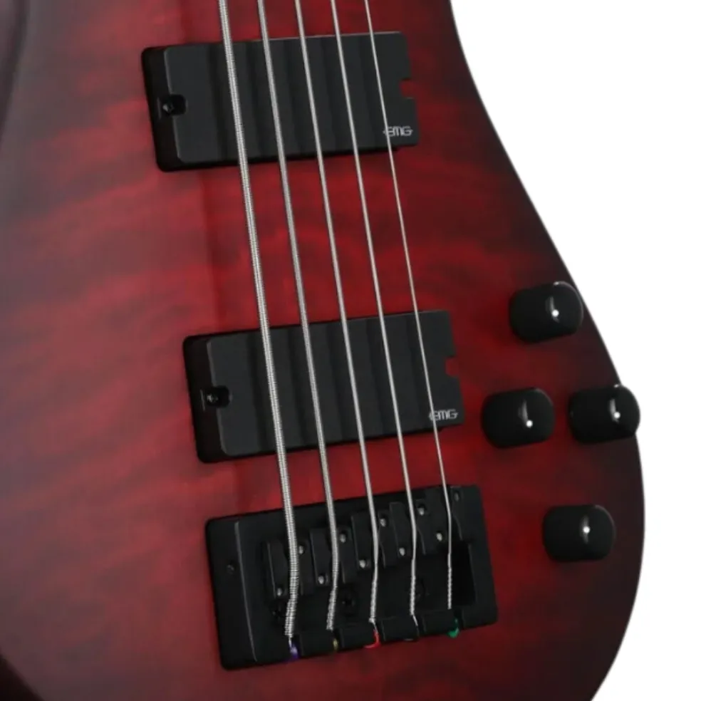Spector Pulse 5 Bass Guitar - Black Cherry Matte