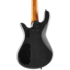Spector Pulse 5 Bass Guitar - Black Stain Matte
