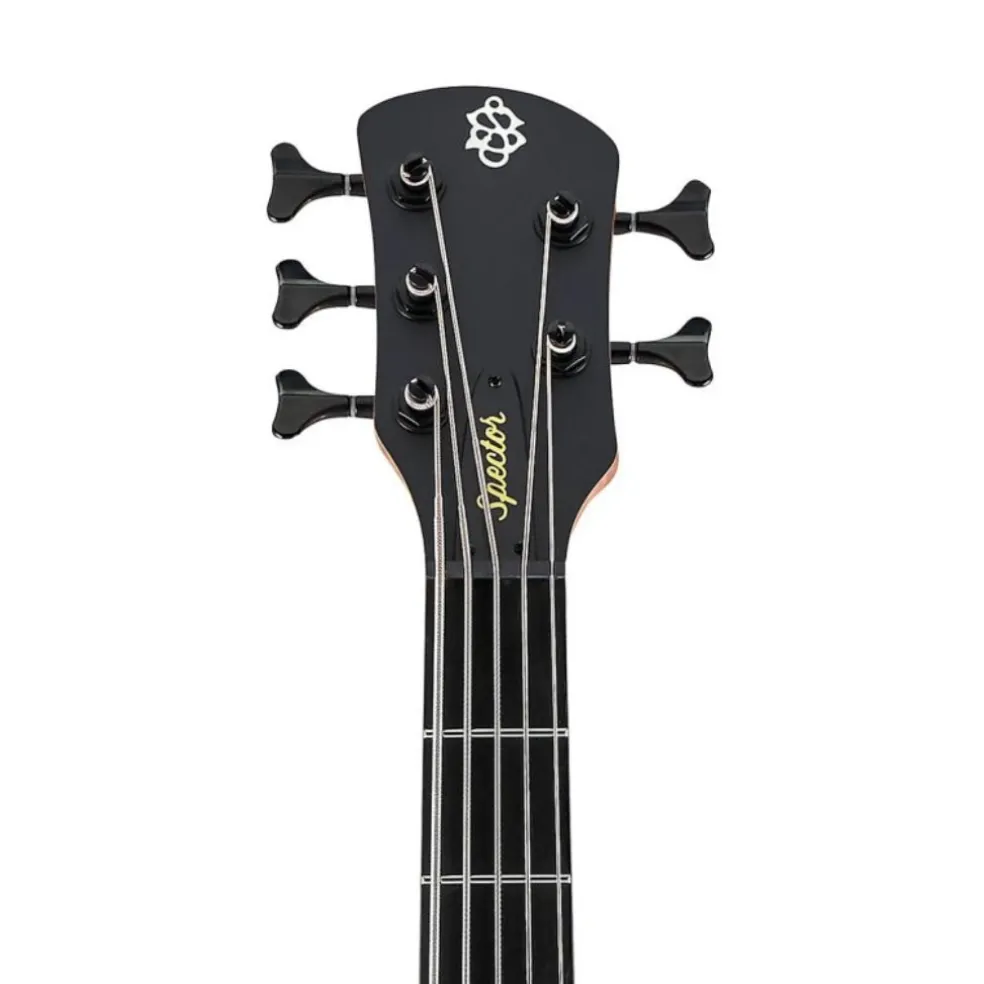 Spector Pulse 5 Bass Guitar - Black Stain Matte