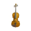 Stentor Student I 1/2 Size Violin - Mid Chestnut