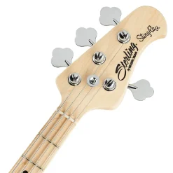 Sterling Sub RAYSS4 - Black