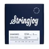 Stringjoy Signatures | Drop Tune Heavy Gauge (12-64) Nickel Wound Electric Guitar Strings