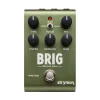 Strymon Brig - dBucket Delay