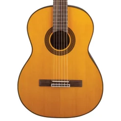 Takamine GC5 Series Left Handed Acoustic Classical Guitar