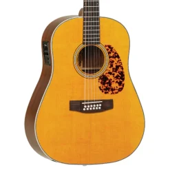 Tanglewood Sundance Historic 12 String