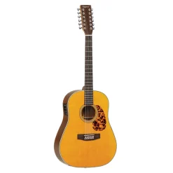 Tanglewood Sundance Historic 12 String