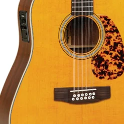 Tanglewood Sundance Historic 12 String