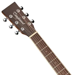 Tanglewood TW10LH Winterleaf Dreadnought Acoustic Left