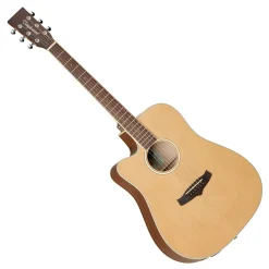 Tanglewood TW10LH Winterleaf Dreadnought Acoustic Left