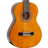 Valencia 100 Series 3/4 Classical Guitar