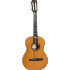 Valencia 200 Series 4/4 Hybrid