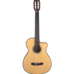 Valencia 430 Series 4/4 Nylon Acoustic with Pickup