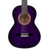 Valencia VC102PPS 1/2 Size Classical Guitar – Purple Sunburst
