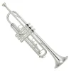 Yamaha YTR-3335 Bb Student Trumpet - Silver